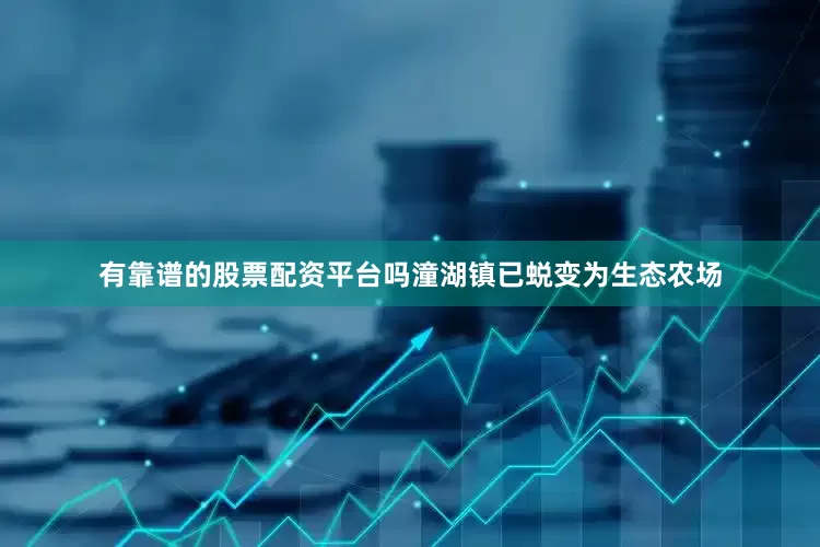 有靠谱的股票配资平台吗潼湖镇已蜕变为生态农场