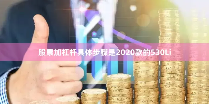 股票加杠杆具体步骤是2020款的530Li