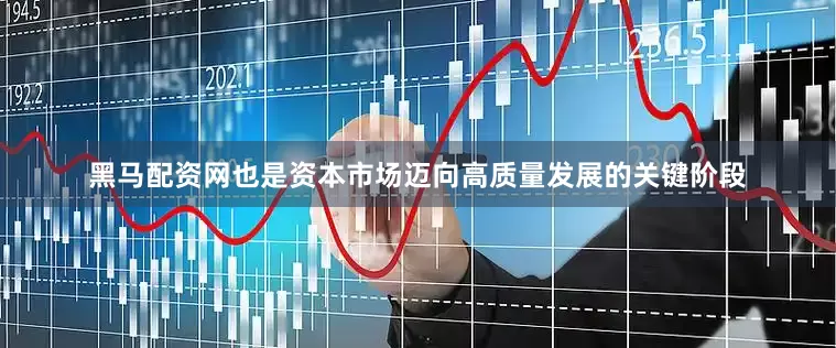 黑马配资网也是资本市场迈向高质量发展的关键阶段