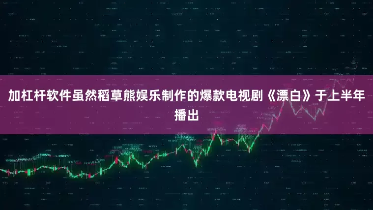 加杠杆软件虽然稻草熊娱乐制作的爆款电视剧《漂白》于上半年播出