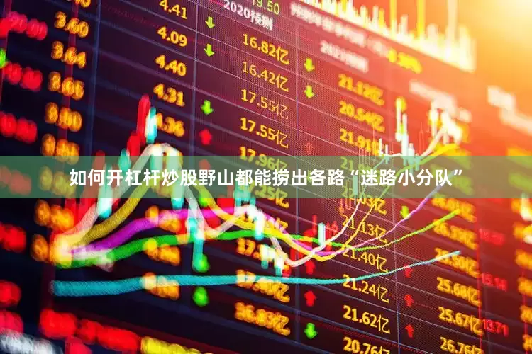 如何开杠杆炒股野山都能捞出各路“迷路小分队”