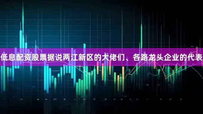 低息配资股票据说两江新区的大佬们、各路龙头企业的代表