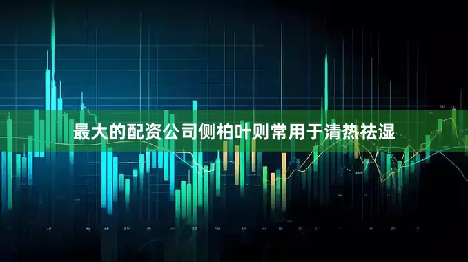 最大的配资公司侧柏叶则常用于清热祛湿